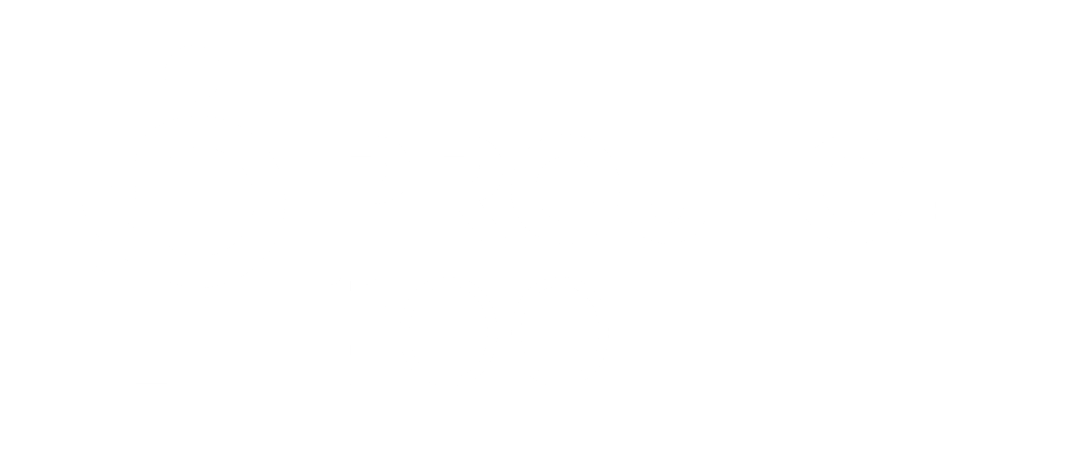 Project 1100